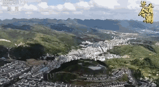 5.gif
