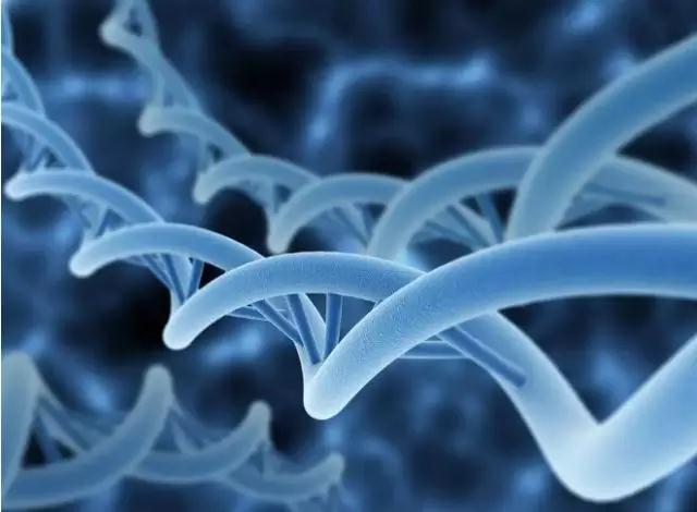 生命科学领域.jpg 生命科学领域.jpg