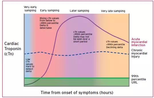 3.webp.jpg 3.webp.jpg