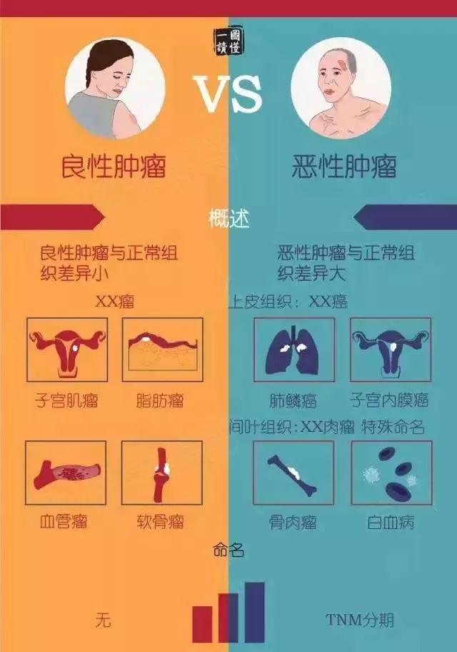 癌和肉瘤的区别图片