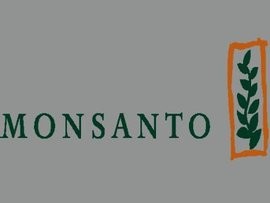 Monsanto Refuses Bayers  Bid Price Again